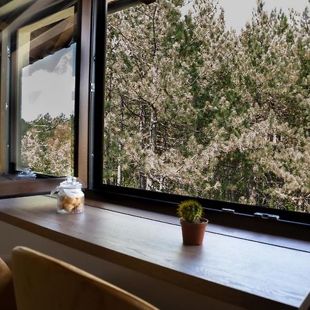 Zlatibor Apartman & Spa Casa Perfetta Zewnętrze zdjęcie
